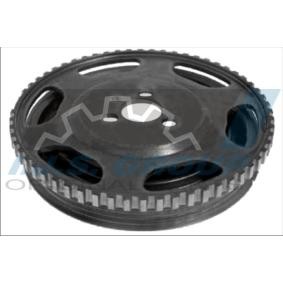 Achetez des Poulie damper (vilebrequin) IJS GROUP 17-1221 à prix pour 61,44 €