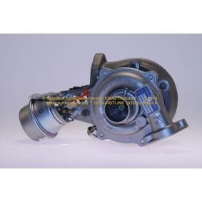 Comprar Turbocompresor de SCHLÜTTER TURBOLADER 172-07996 a bajo precio de 531,58 €