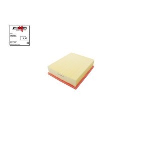 Luftfilter von AUTOMEGA 180020610
