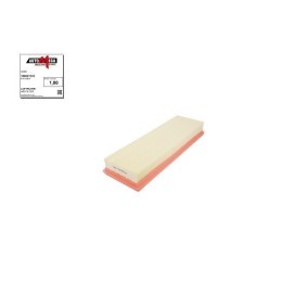 Luftfilter 180021310