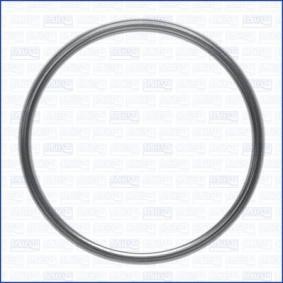Dichtring, Abgasrohr 18008200