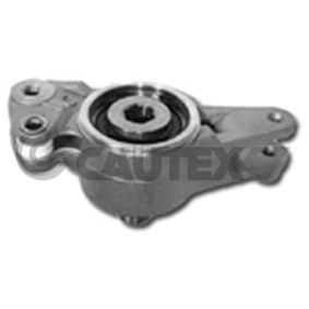 Comprar Brazo tensor, correa poli V de CAUTEX 180915 a bajo precio de 65,72 €