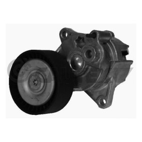 Comprar Brazo tensor, correa poli V de CAUTEX 181043 a bajo precio de 68,96 €
