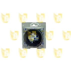 Acquista Kit guarnizioni, Pinza freno a disco da UNIGOM 182002 a buon mercato per soli 12,01 €