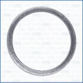 Dichtring, Abgasrohr 19006800