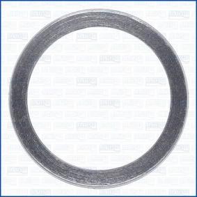 Dichtring, Abgasrohr 19007400