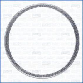 Dichtring, Abgasrohr 19007600