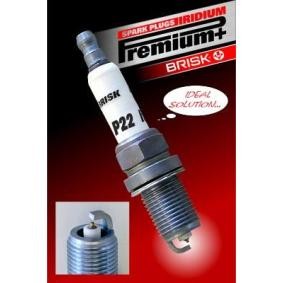 Acquista Candela accensione da BRISK 1922 a buon mercato per soli 23,31 €