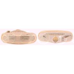 Blinker 20240600