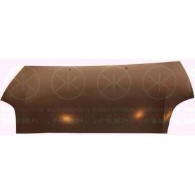 Motorhaube 2029280A1