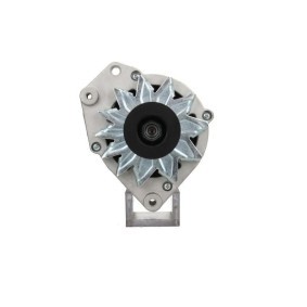 Lichtmaschine von BV PSH