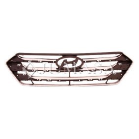 Kühlergrill 21001662