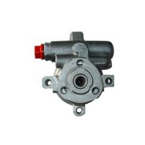 Servopumpe 53629 von SPIDAN günstig für 90,61 € online kaufen
