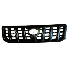Kühlergrill 21005133