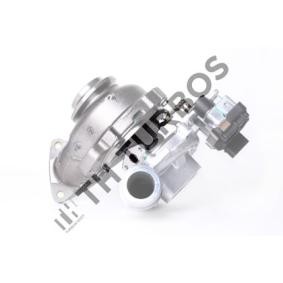 Acquista Turbina da TURBO´S HOET 2100950 a buon mercato per soli 2016,04 €