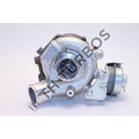 Acquista Turbina da TURBO´S HOET 2100961 a buon mercato per soli 1726,74 €