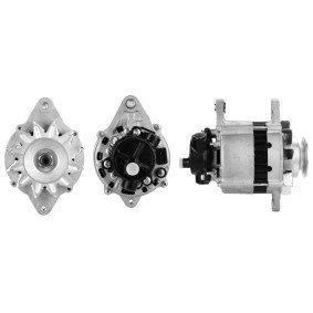 Lichtmaschine 224105602