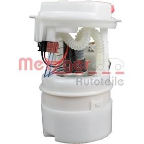 Achetez des Unité d'injection de carburant METZGER 2250171 à prix pour 153,37 €