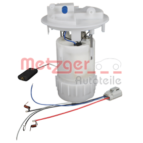 Achetez des Unité d'injection de carburant METZGER 2250202 à prix pour 148,70 €