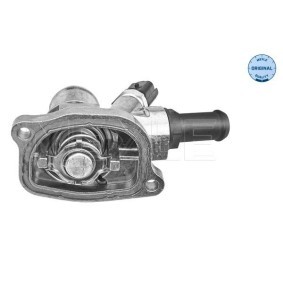 Lagerbuchse, Blattfeder 234 032 0011 für IVECO