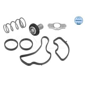 Buchse, Fahrerhauslagerung 234 089 0005 für IVECO
