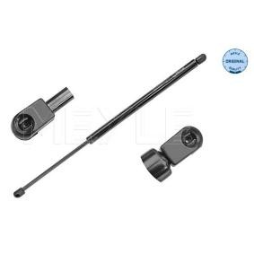 Comprar Amortiguador de maletero de MEYLE 240 910 0022 a bajo precio de 23,83 €