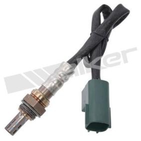 Köp Lambdasond av WALKER PRODUCTS 250-24181 till det låga priset 898,34 kr