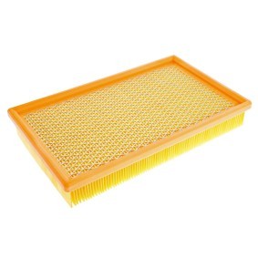 Luftfilter 2552/2-LF-PCS-MS
