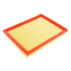Luftfilter 2569-LF-PCS-MS