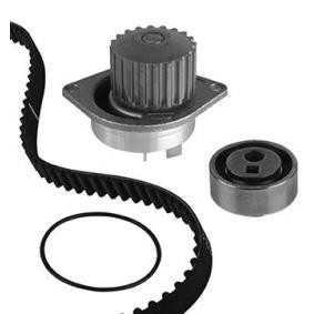 Achetez des Kit de distribution + pompe à eau METELLI 30-0491-1 à prix pour 95,63 €