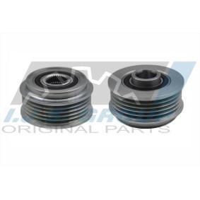 Achetez des Poulie roue libre, alternateur IJS GROUP 30-1108 à prix pour 34,52 €