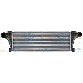 Köp Intercooler från HELLA på nätet till DAILY II Flak/chassi till schyssta priser
