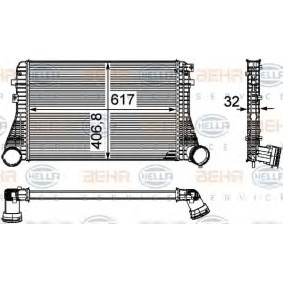 Kjøp Intercooler av HELLA 8ML 376 746-061 til den lave prisen 1746,14 NOK