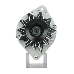 Lichtmaschine 305.005.065.010