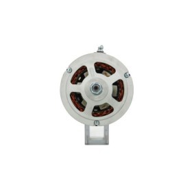 Lichtmaschine 305.007.055.010