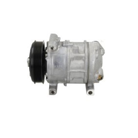 Lichtmaschine von BV PSH