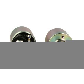 Lichtmaschine von BV PSH