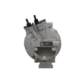 Lichtmaschine von BV PSH