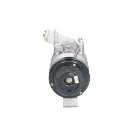 Lichtmaschine von BV PSH