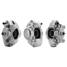 Bremssattel 3101600