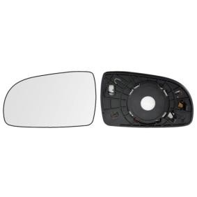 Spiegelglas, Außenspiegel 31403421