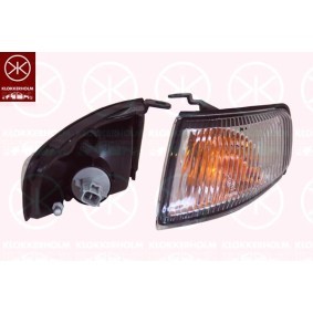 Blinker 31530392