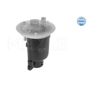 Kraftstofffilter 32-14 323 0009