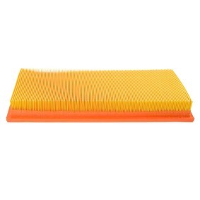 Luftfilter 34100-LF-PCS-MS