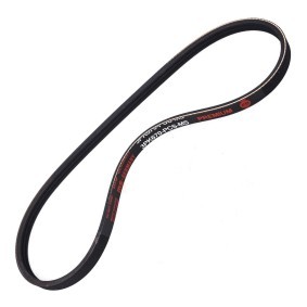 Achetez des Courroie d'alternateur de chez MASTER-SPORT en ligne pour Stilo Multi Wagon (192) à prix modérés