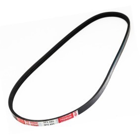 Keilrippenriemen 3PK885-PCS-MS MINI Schrägheck von MASTER-SPORT