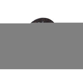 Achetez des Disque d'embrayage LuK 324 0207 10 à prix pour 192,24 €