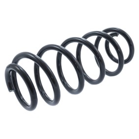 Köp Spiralfjäder av MASTER-SPORT 4004218-PCS-MS till det låga priset 462,60 kr