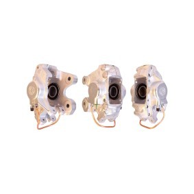 Bremssattel 4204600