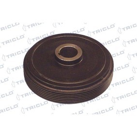 Achetez des Poulie damper (vilebrequin) TRICLO 421201 à prix pour 65,73 €